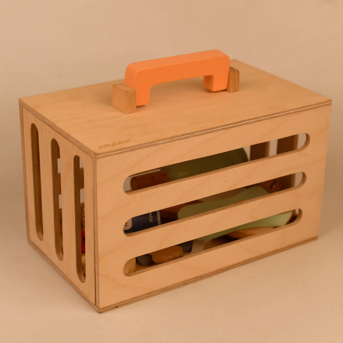 Kids Pet Grooming Set