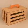 Kids Pet Grooming Set
